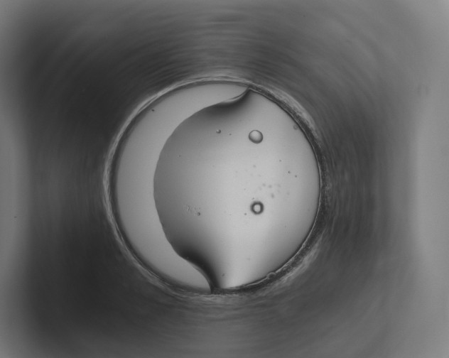 X0000102300989200808221417