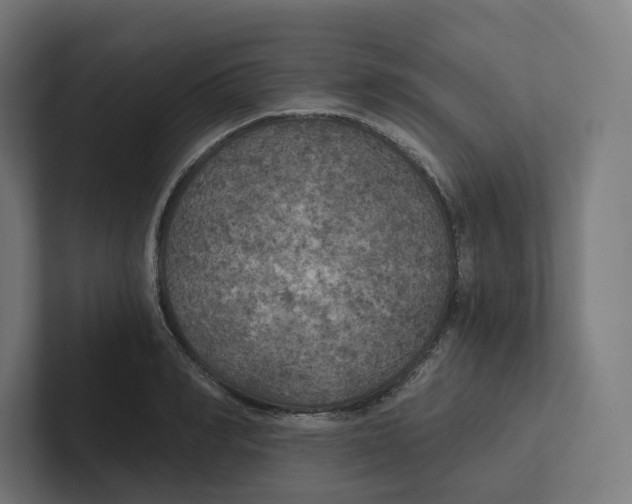 X0000102300990200808221417