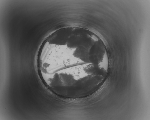 X0000102300995200808221417