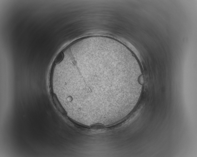 X0000102300997200808221417