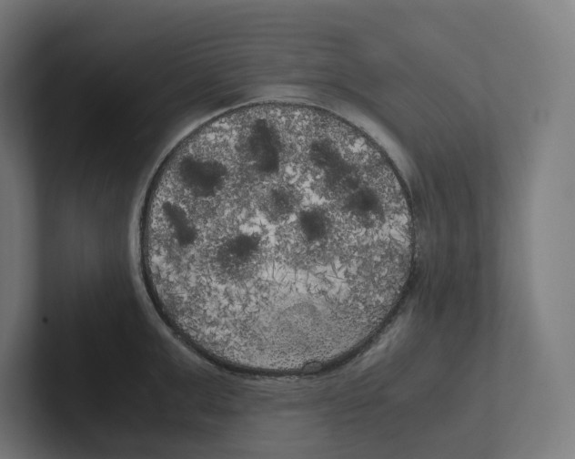 X0000102300999200808221417