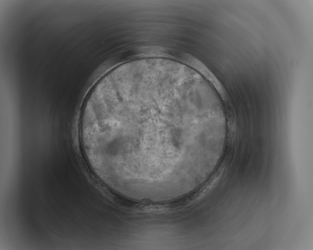 X0000102301002200808221417
