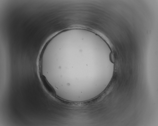 X0000102301003200808221417