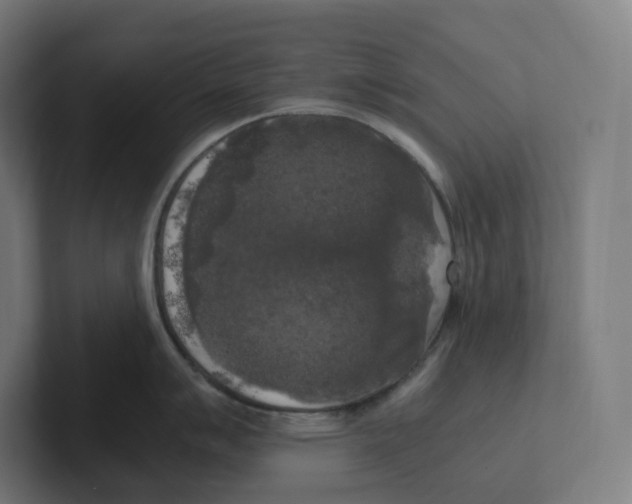 X0000102301007200808221417