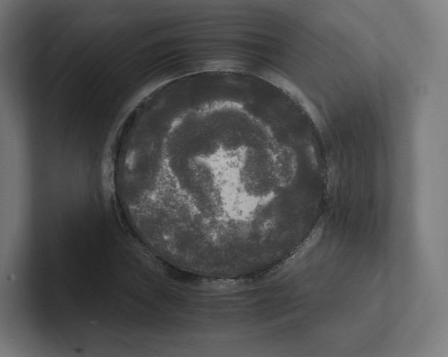 X0000102301019200808221416