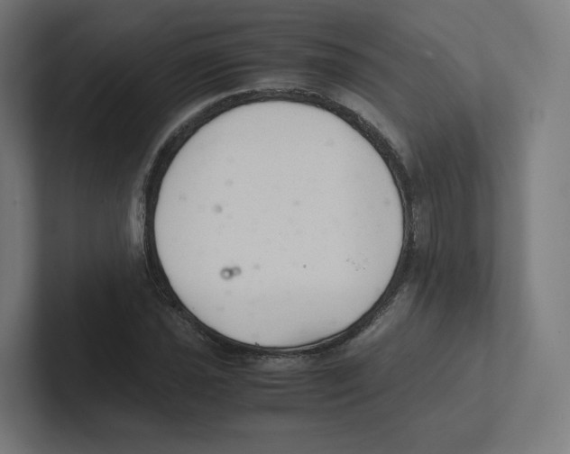 X0000102301021200808221416