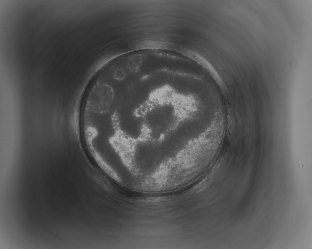 X0000102301035200808221416