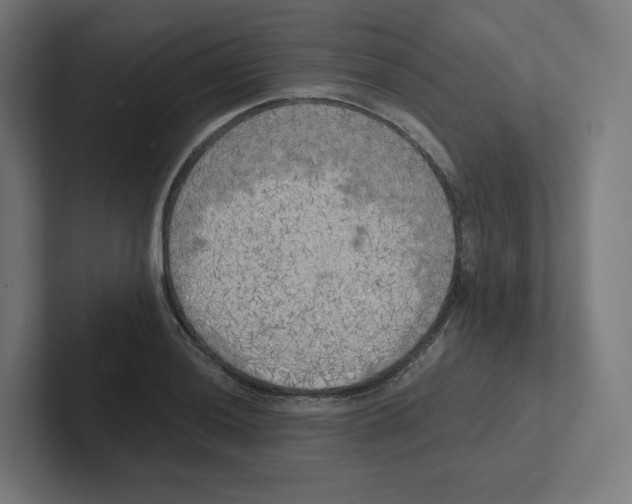 X0000102301036200808221417