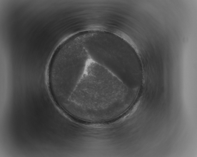 X0000102301037200808221417
