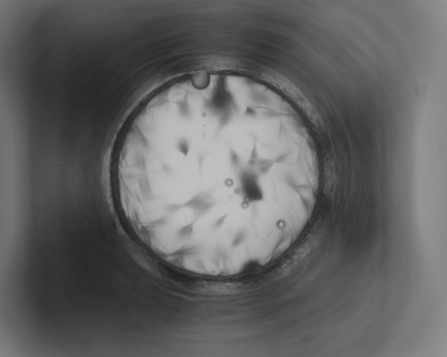 X0000102301039200808221417