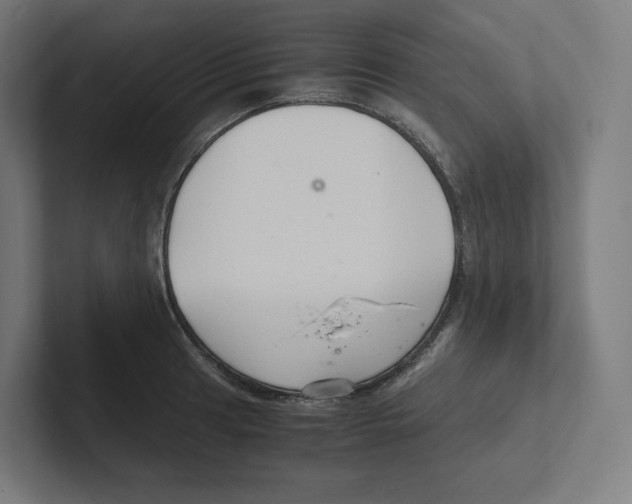 X0000102301041200808221417