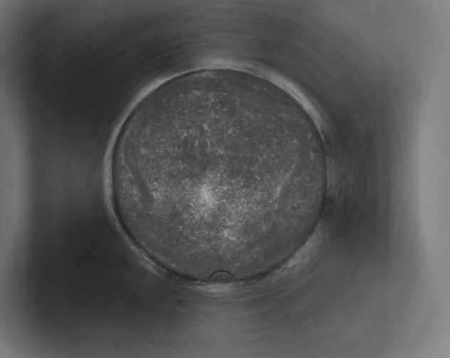 X0000102301048200808221417