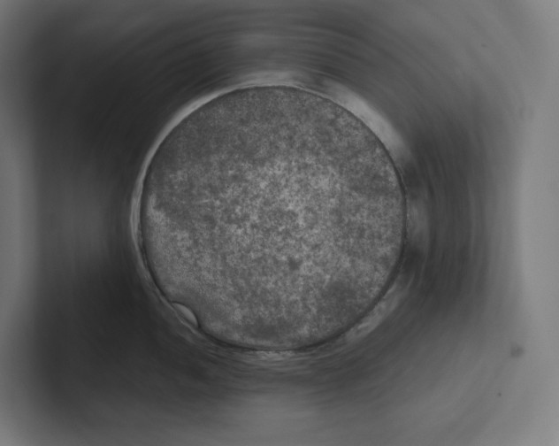 X0000102301052200808221417