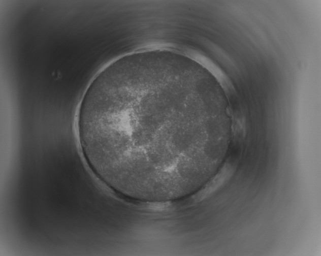 X0000102301055200808221417