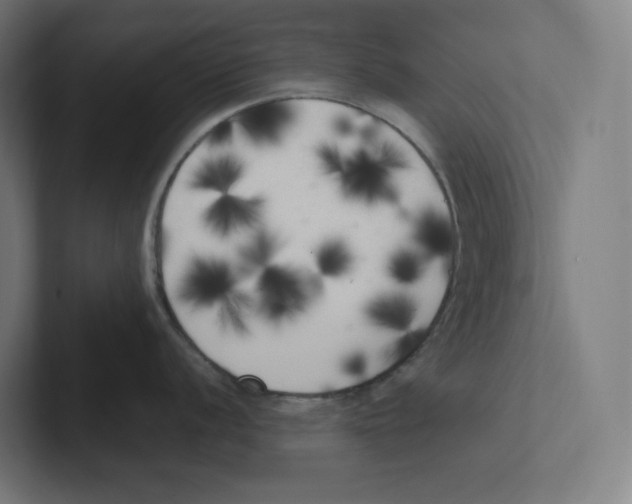 X0000102301056200808221417