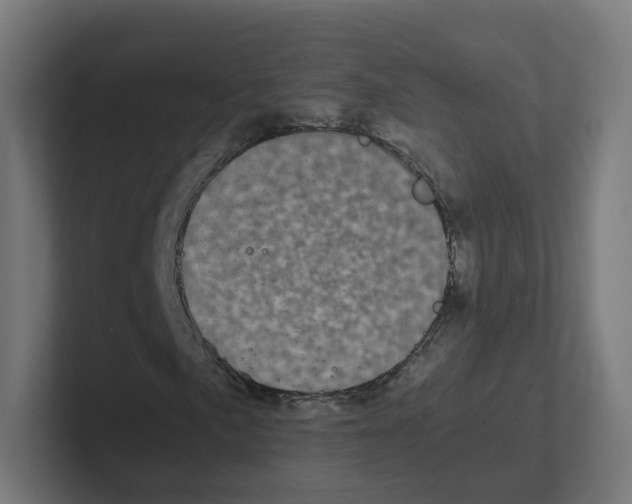 X0000102301057200808221416