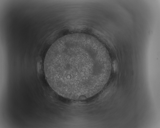 X0000102301059200808221416