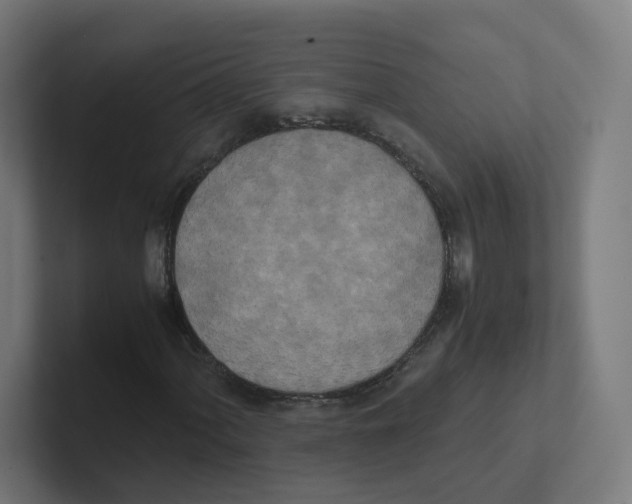 X0000102301060200808221416