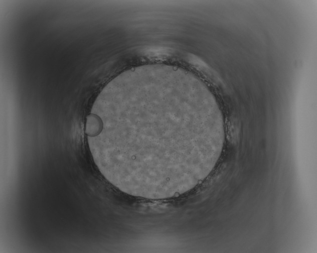 X0000102301061200808221416