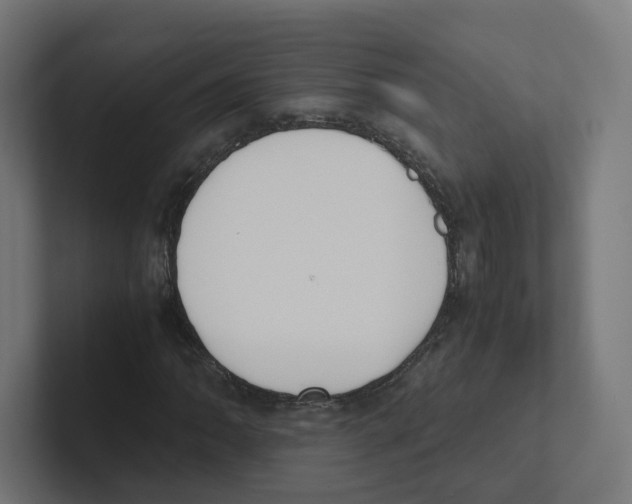 X0000102301062200808221416