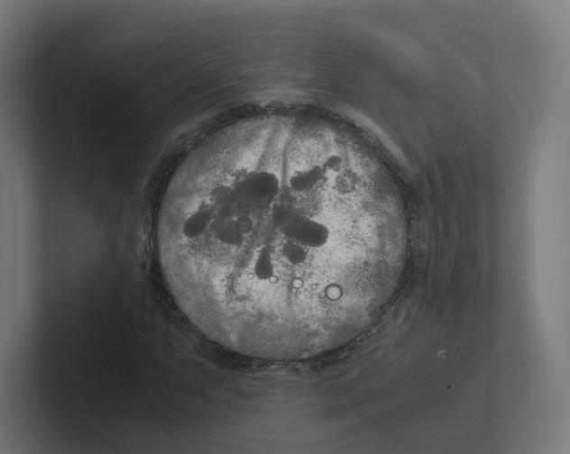 X0000102301063200808221416