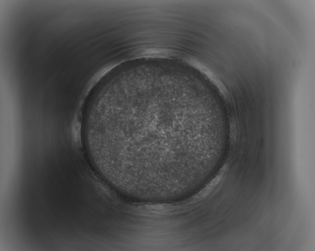 X0000102301066200808221416