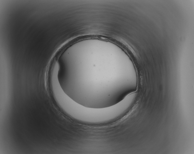 X0000102301069200808221416