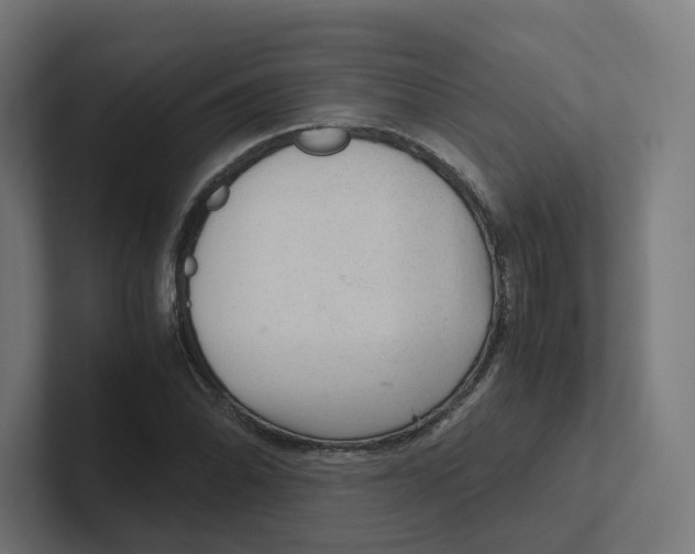 X0000102301070200808221416