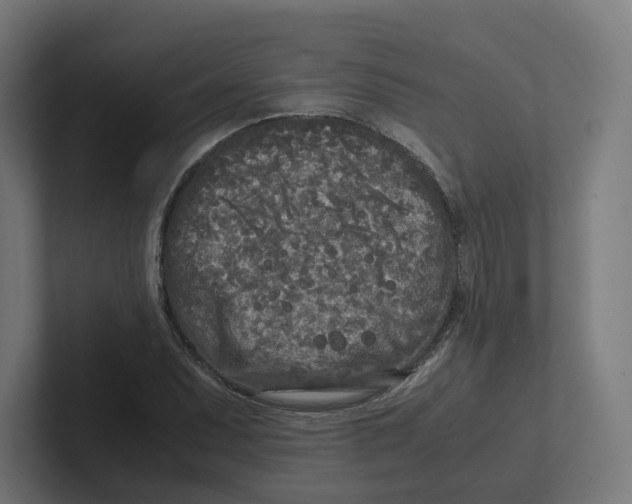 X0000102301071200808221416