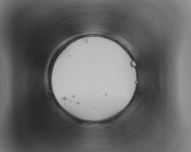 X0000102301072200808221416