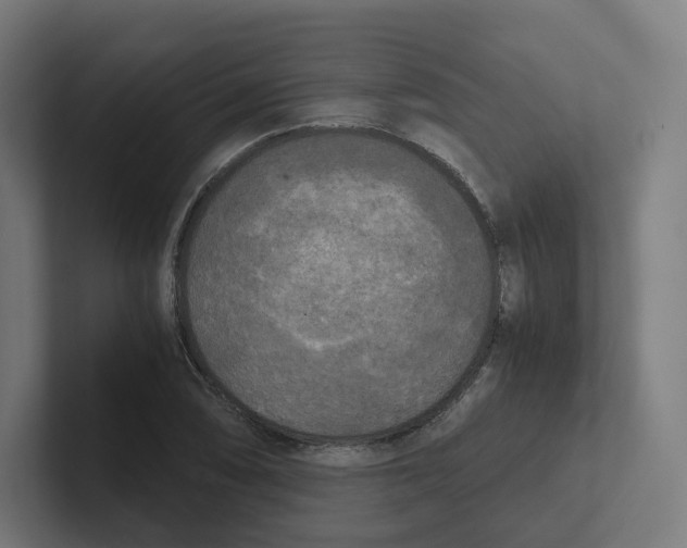 X0000102301074200808221416