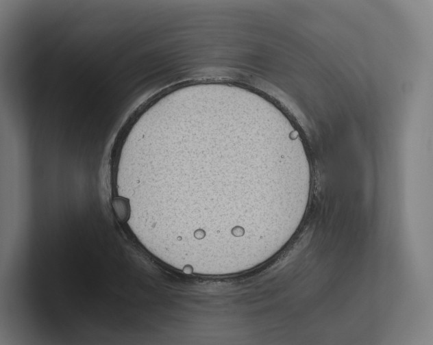 X0000102301075200808221416