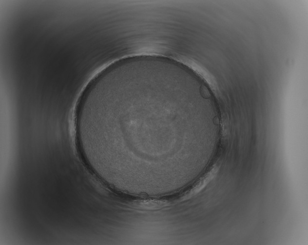 X0000102301077200808221416