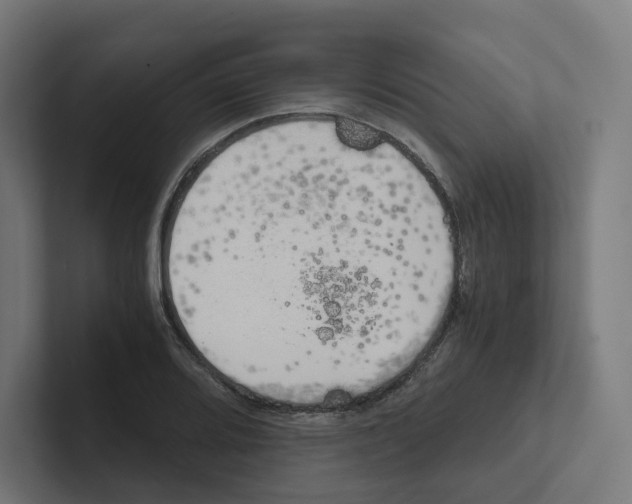 X0000102301080200808221416