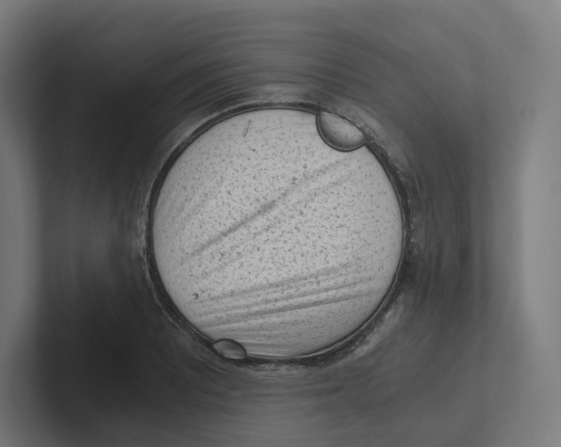 X0000102301081200808221416