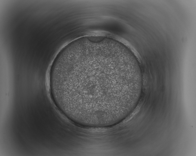 X0000102301083200808221416