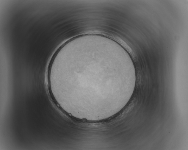 X0000102301084200808221416