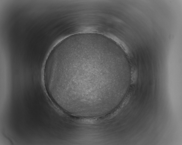 X0000102301086200808221416