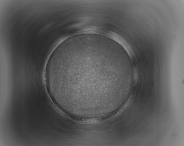 X0000102301090200808221416