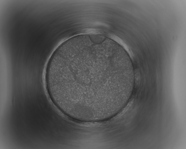 X0000102301091200808221416