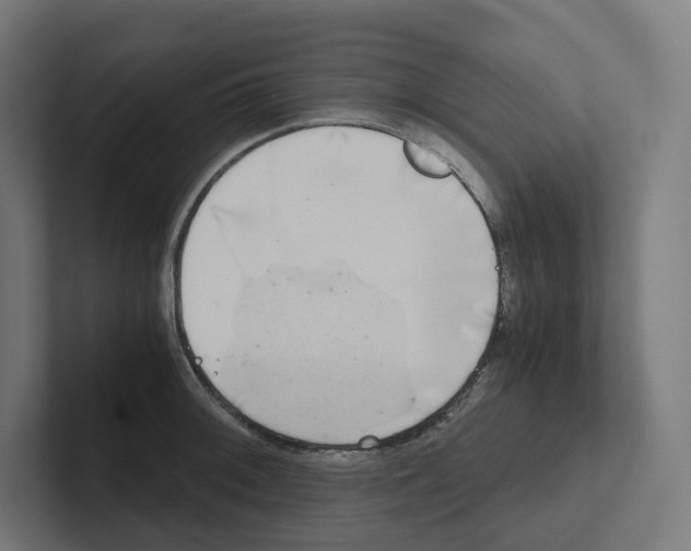X0000102301092200808221416