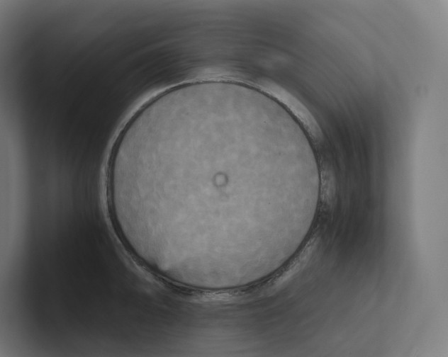 X0000102301094200808221416