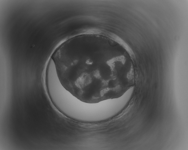 X0000102301095200808221416