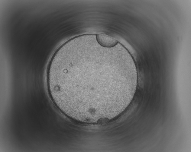 X0000102301096200808221416