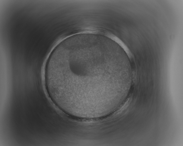 X0000102301099200808221416