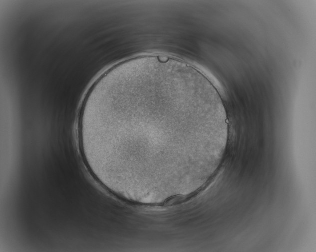 X0000102301100200808221416