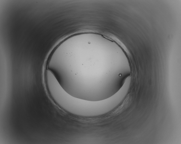 X0000102301101200808221416