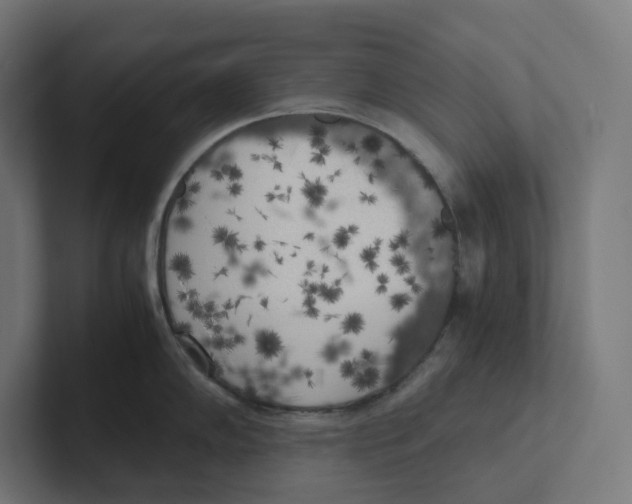 X0000102301102200808221415
