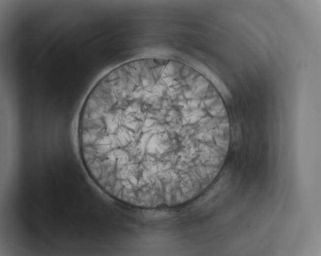 X0000102301103200808221415