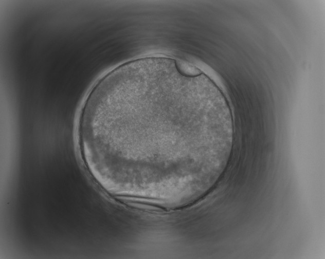 X0000102301104200808221415